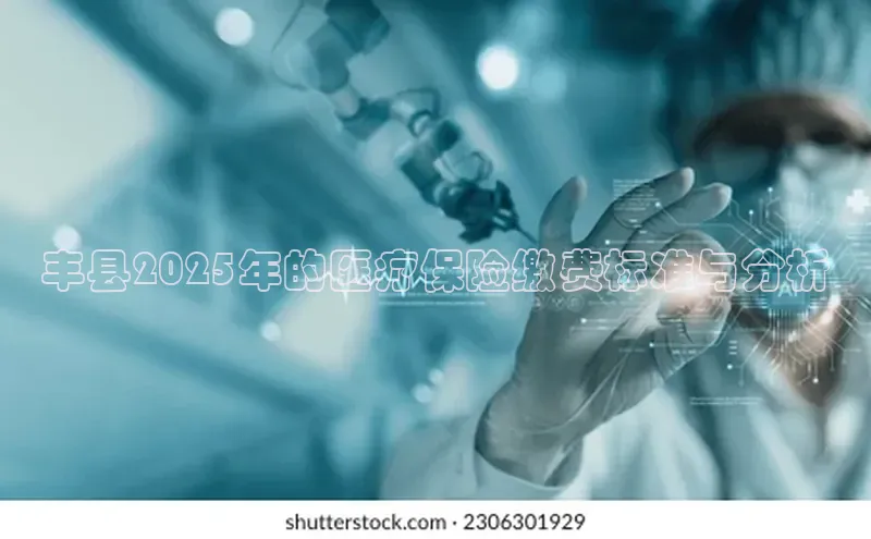 3377体育官网入口网页版