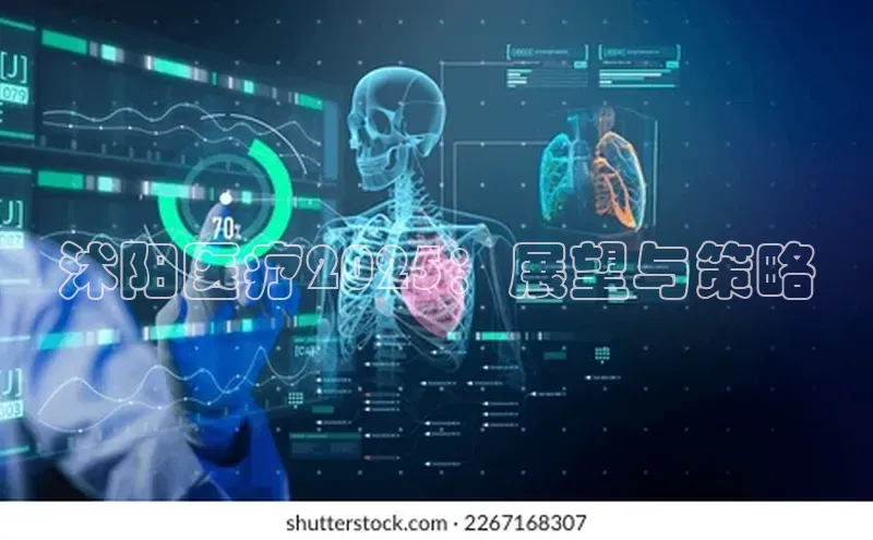 3377体育官方在线登录入口
