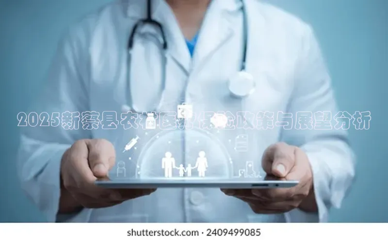 3377体育官网下载