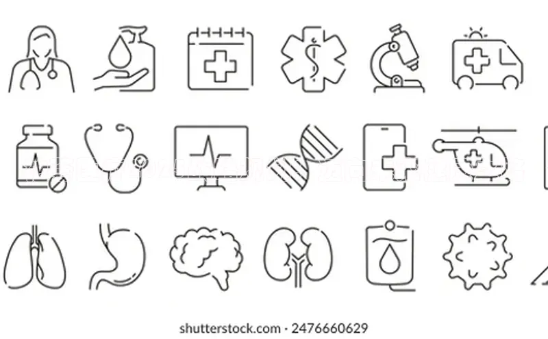 3377体育官方在线登录入口