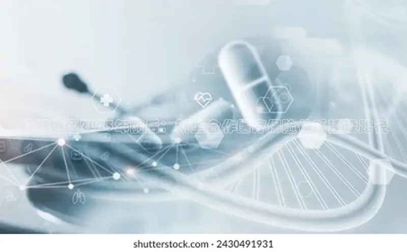 3377体育官网入口网页版
