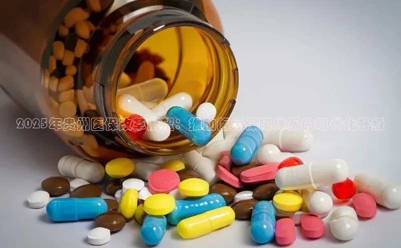 3377体育app登录入口手机版