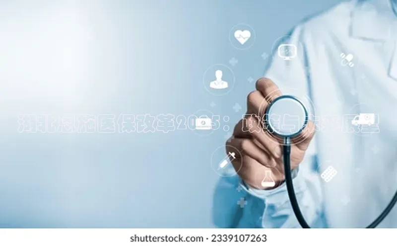 3377体育app登录入口