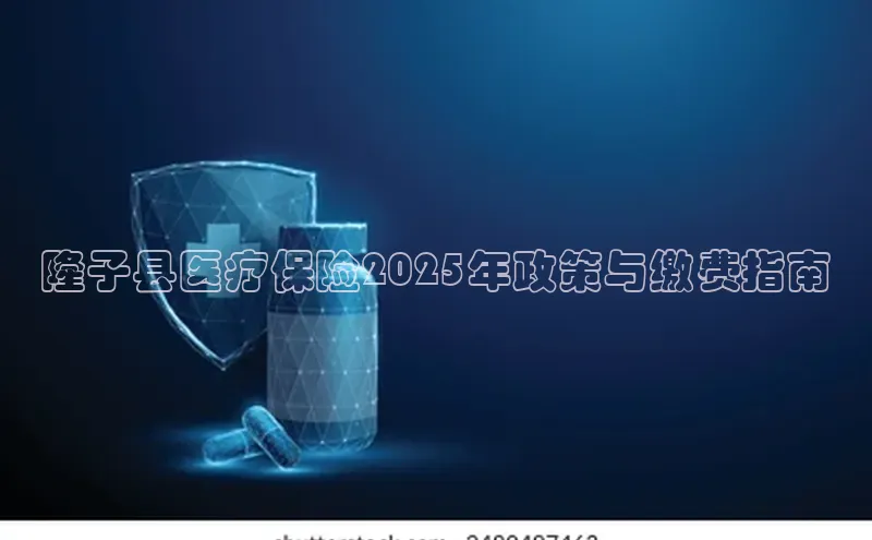 3377体育官方在线登录入口