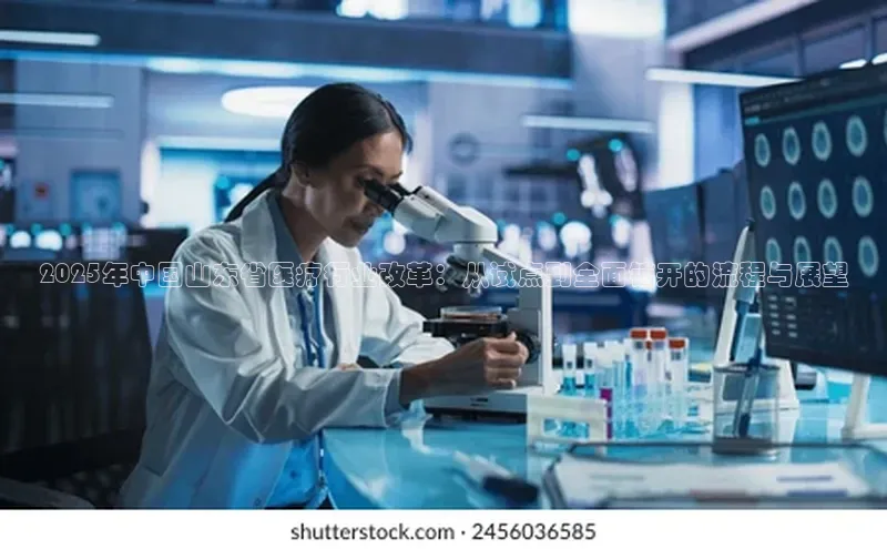 3377体育官网下载