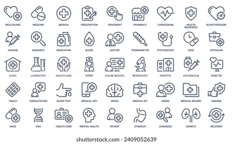 3377体育网页入口