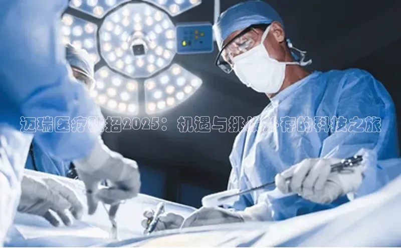 3377体育app官网下载地址