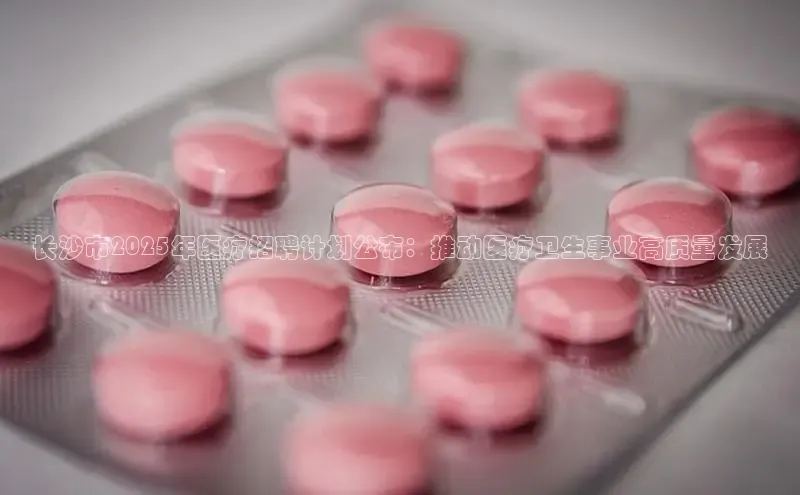 3377体育app登录入口