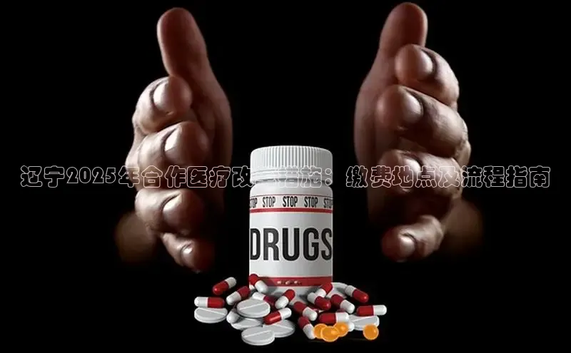 3377体育官网入口网页版