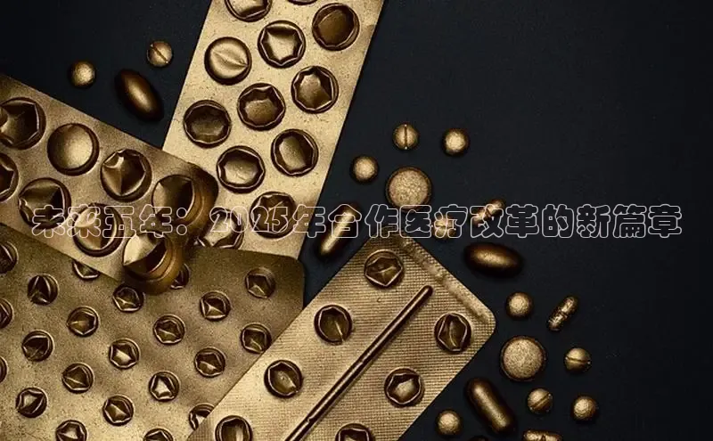 3377体育app登录入口