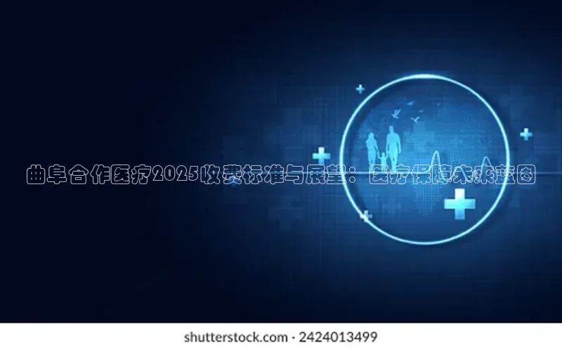 3377体育官网下载