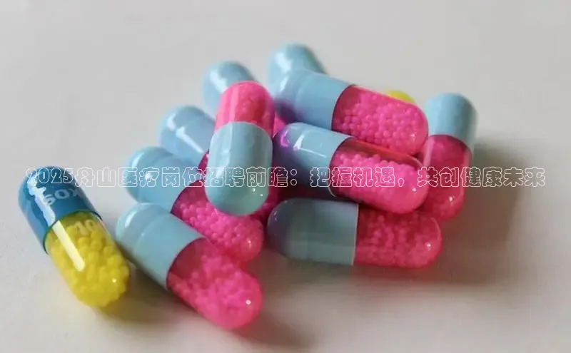 3377体育app登录入口手机版